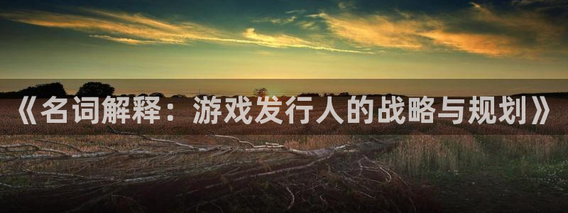 杏耀官网解绑银行卡怎么弄：《名词解释：游戏发行人的战略与规划》