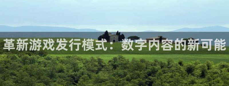 杏耀子小说：革新游戏发行模式：数字内容的新可能