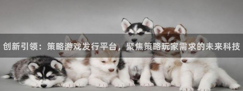 我要看杏耀：创新引领：策略游戏发行平台，聚焦策略玩家需求的未来科技
