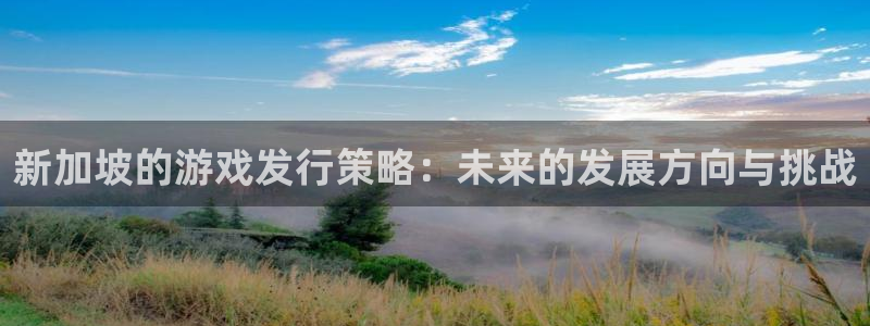 杏耀官网注册地址在哪里查询：新加坡的游戏发行策略：未来的发展方向与挑战