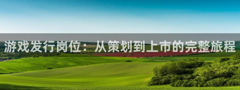 杏耀官网注册方法视频教程：游戏发行岗位：从策划到上市的完整旅程