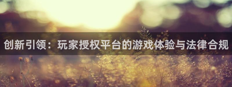 杏耀官网注册平台官网下载：创新引领：玩家授权平台的游戏体验与法律合规