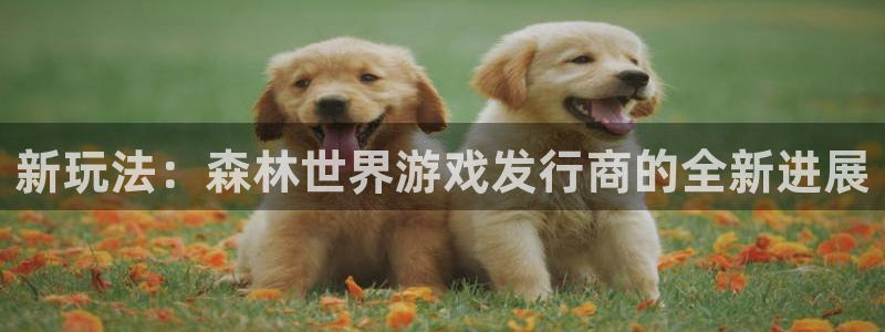 杏耀电子商务有限公司怎么样知乎：新玩法：森林世界游戏发行商的全新进展