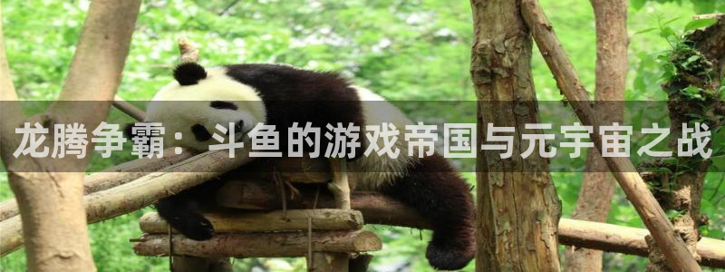 杏耀官网的钱能提出来吗
