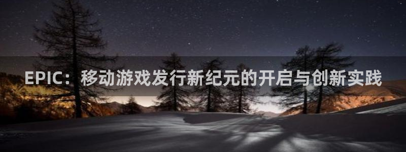 陕西杏耀子文化创意有限公司1：EPIC：移动游戏发行新纪元的开启与创新实践
