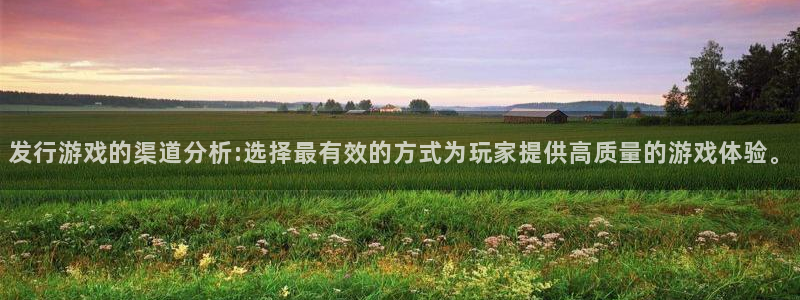 杏耀子图片：发行游戏的渠道分析:选择最有效的方式为玩家提供高质量的游戏体验。
