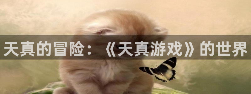 杏耀子酒业