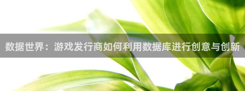 杏耀官网登录注册账号安全吗：数据世界：游戏发行商如何利用数据库进行创意与创新