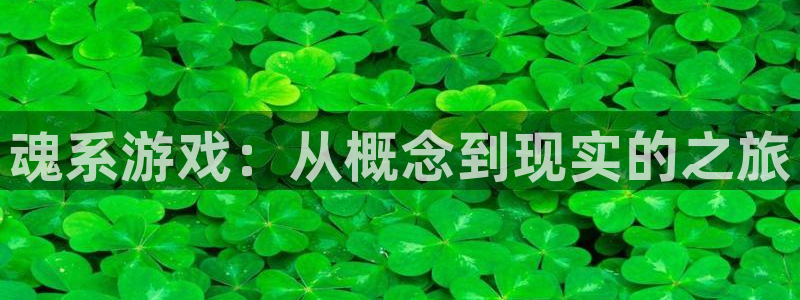 杏耀官网登录注册账号失败怎么办：魂系游戏：从概念到现实的之旅